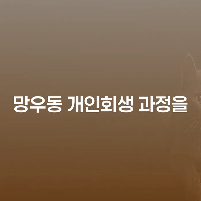 망우동 개인회생 과정을